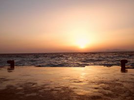 11537686_10152965922382883_2209302606400398987_n