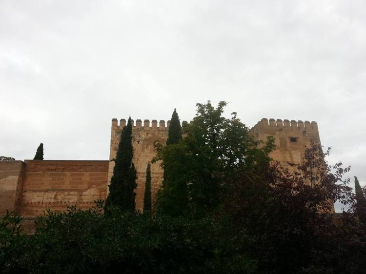 12088078_10153194860317883_381804485998792888_n