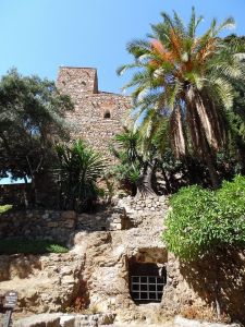 12105906_10153190678662883_1987041129257706812_n