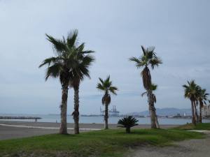 12143329_10153192186037883_2642211002908589061_n