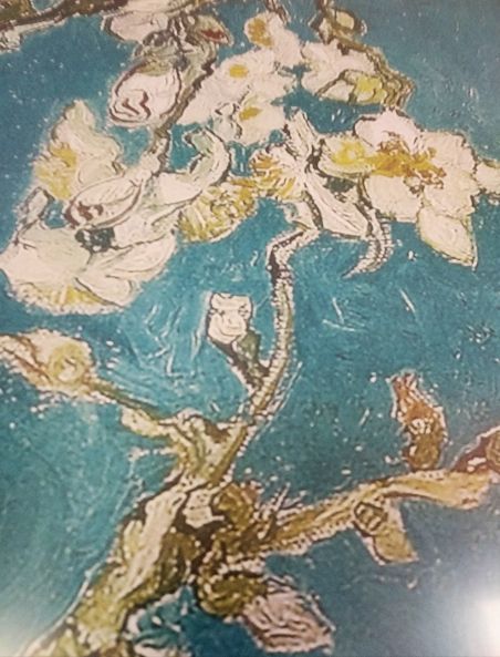 dettagli mandorlo in fiore