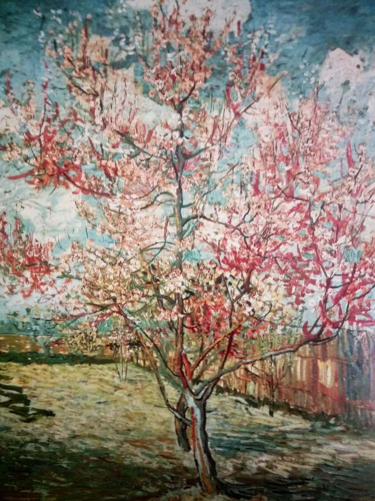 pesco in fiore arles 1888